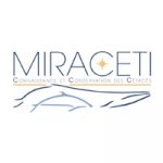 Miraceti squared